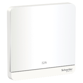 E8331d32n We G11 Avataron Switch 32a 2p Led On Indicator White Schneider Electric Global