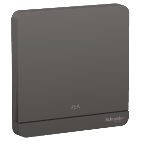 AvatarON  switch, 45A, 250V, 2P, Led, Dark Grey