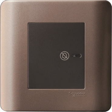 E8431DSLV SZ Schneider Electric 图片