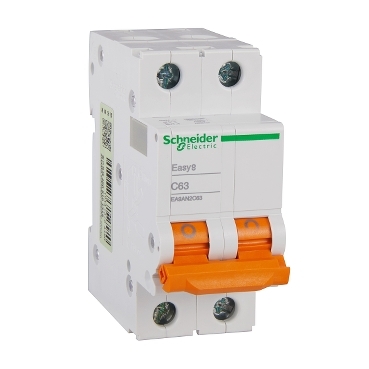 EA9AN/H Schneider Electric Easy 9 系列小型斷路器