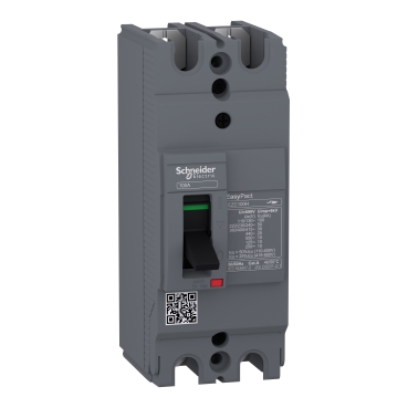 EZC100H2063 Product picture Schneider Electric