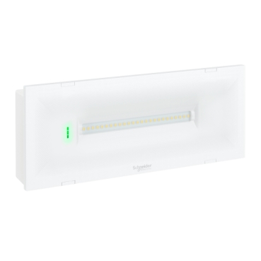 Exiway Trend Schneider Electric Gamme multi-performances de 50 à 500 lumens avec un design attractif pour toutes les installations : encastré, mur et faux plafond.