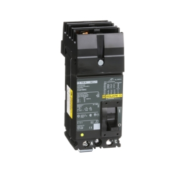 Schneider Electric FA24100AC Picture