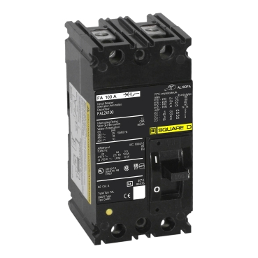 Schneider Electric FAL24100 Picture