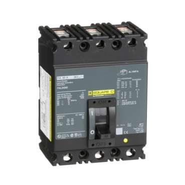 Schneider Electric FAL34040 Picture