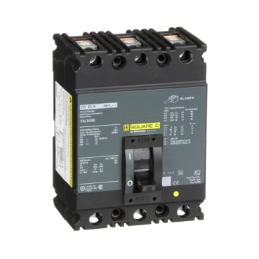 Schneider Electric FAL34080 Picture