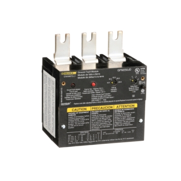 Schneider Electric GFM250JD Picture