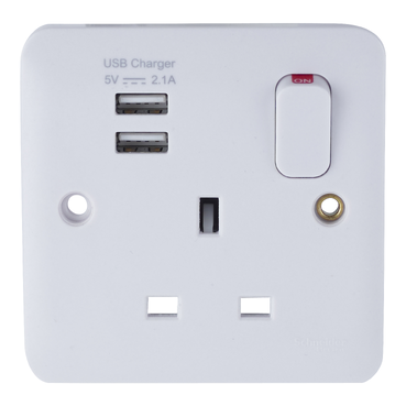 Schneider Electric GGBL30102USBAS Picture