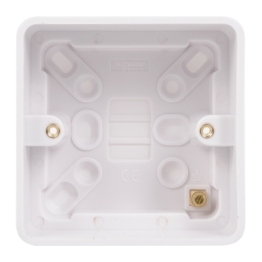Schneider Electric Lisse White Moulded - Presa di alimentazione doppia non commutata, unipolare, 13 A, GGBL3060S, bianca, confezione da 1