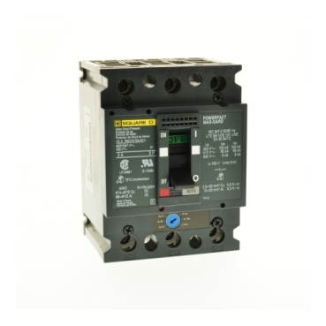 Schneider Electric GJL36003M01 Picture