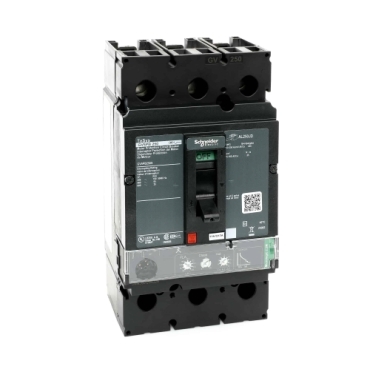 Schneider Electric GV5PB250S Picture