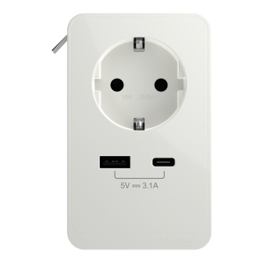 Slika proizvoda INS44050 Schneider Electric