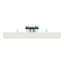 KBN31TV_WE Product picture Schneider Electric
