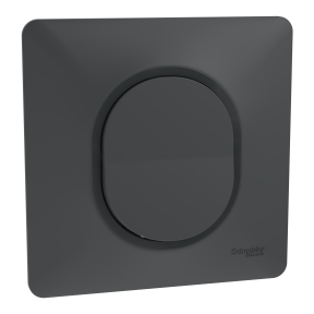 Ovalis - interrupteur va et vient - 10AX - Anthracite