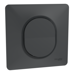 Ovalis - bouton poussoir à fermeture - 10A - Anthracite