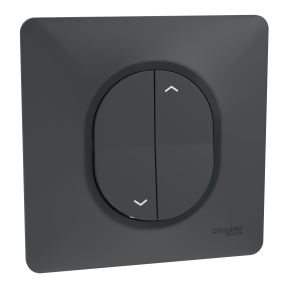 Ovalis - interrupteur 2 boutons pour volet roulant- 6AX -Anthracite