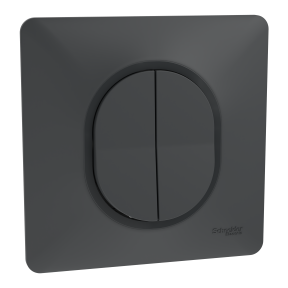 Ovalis - double poussoir fermeture - 10AX - Anthracite