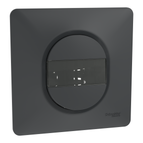 Ovalis - poussoir à fermeture avec porte-étiquette - 10AX - Anthracite