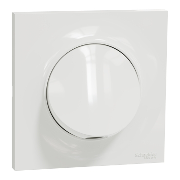 Presa Uscita Cavi Schneider Electric Odace – Bianco, Montaggio A Incasso Con Morsetti A Vite