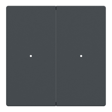 MTN625214 - Rockers for 2-gang push-button module, anthracite 