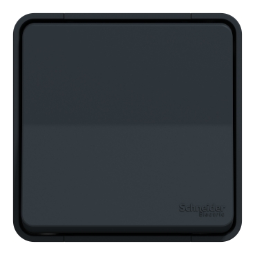 Conmutador Schneider Electric MUR35025 Con LED – IP55, Color Gris, Para Instalaciones Industriales O Exteriores