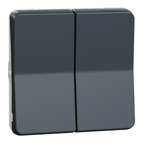 Mureva Styl - Double bouton poussoir - composable - IP55 - IK07 - gris
