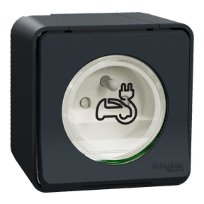 Mureva Styl - Prise renforcée 2P+T pour charge voiture électrique - en saillie - IP55 - IK08 - Gris