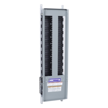 Schneider Electric NF454L1C Picture