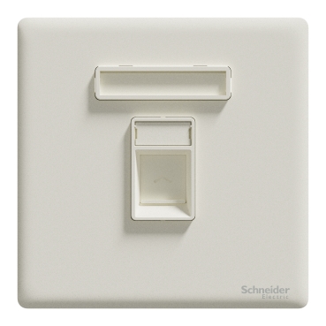 NP131RJS4_SG_C1 Schneider Electric 图片