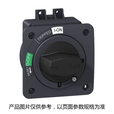 NSC100ROTDS Schneider Electric 图片