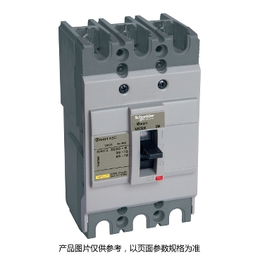 NSC100S3100N Schneider Electric 图片