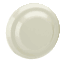 Schneider Electric NSYCAG38LP Picture