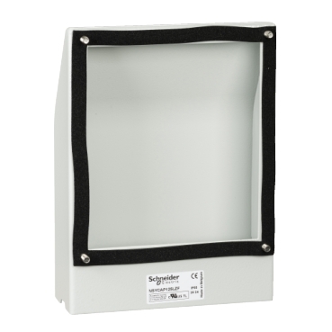 Immagine prodotto NSYCAP291LZF Schneider Electric