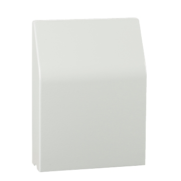 Immagine prodotto NSYCAP291LZF Schneider Electric