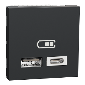 Unica - chargeur USB double - 5Vcc - 2,4A type A+C - 2 modul - anthr - méca seul