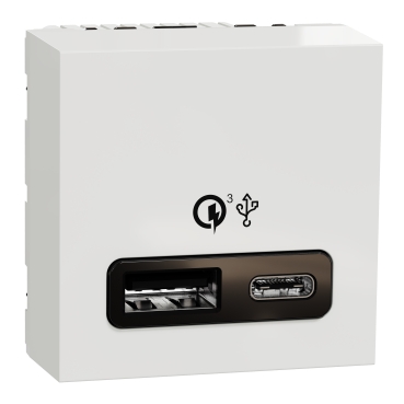 Bloc prise avec terre et prise chargeur 2 usb A+C Schneider Electric Unica  Pro blanc