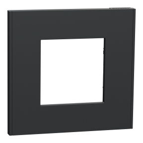 Unica Déco Essentielle - Plaque de finition - Anthracite  - 1 poste