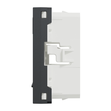 NU942254 - Optiline 45/Unica Zentralplatte Datendose 2xRJ45 gerade 