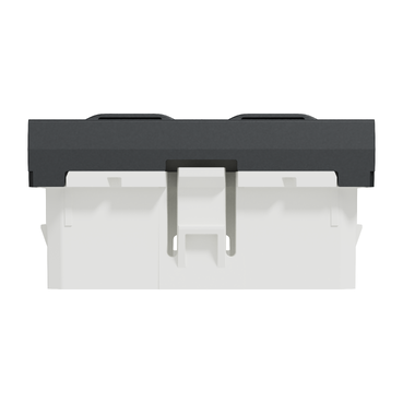 NU942254 - Optiline 45/Unica Zentralplatte Datendose 2xRJ45 gerade 