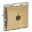 Изображение WDE000491 Schneider Electric