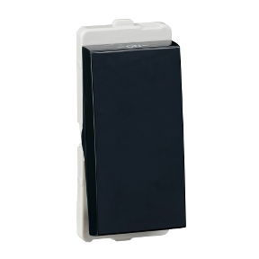 Livia 10A 1 Way Switch, Dark Grey