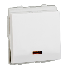 Livia 20A DP Switch With Indicator Lamp