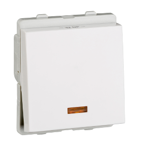 Livia 32A DP Switch With Indicator Lamp