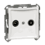 Зображення WDE000197 Schneider Electric