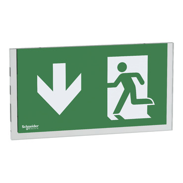 Afbeelding product OVA53231 Schneider Electric