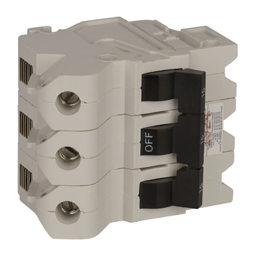 Schneider Electric NB3P60 Picture