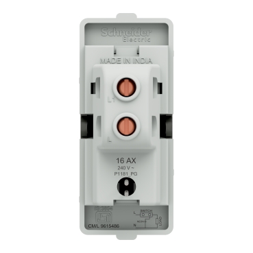 P1181_PG_N - Switch, Livia, 1 way, 16A, with indicator lamp 