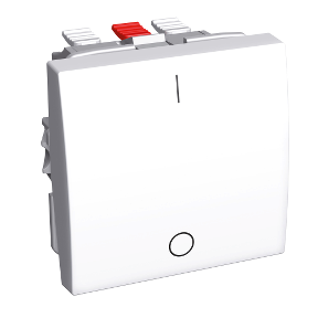 Alb44053 Intrerupator Bipolar 16 A Alb Polar Schneider Electric Romania