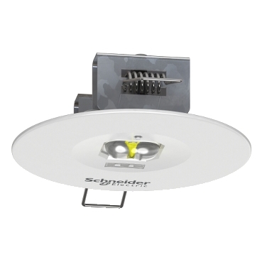 Εικόνα προϊόντος OVA48904 Schneider Electric
