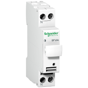 15620 Resi9 Sf Sectionneur Fusible Modulaire 1p N 10a Pour Fusible 8 5x23mm Professionnels Schneider Electric France